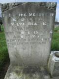 image of grave number 382525